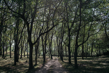 Arslanbob, Krygyzstan