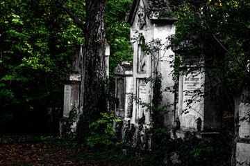 Naklejka premium Grave of the world