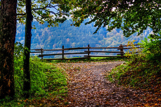 Landscape