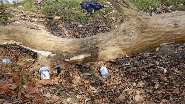 4K Waste Products Plastic Bottles Styrofoam Cups Plastic Cups Close Up By Trees In Nature And Water And Girl Standing At Waters Edge Panorama
