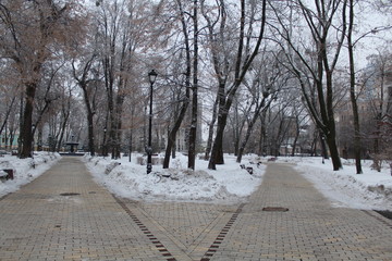 park snow 