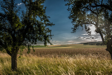 Schlösser seen landschaft sommer in badenwürtemberg