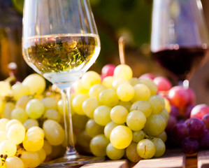 glasses of red and white wine and ripe grapes on table in vineyard