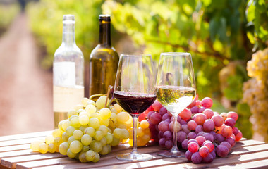 still life with glasses of red and white wine and grapes in field of vineyard