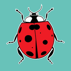 Ladybug sticker vector illustration Summer red beetle.