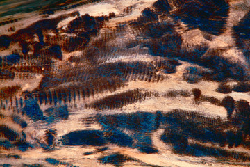 Abstract vintage colorful grunge wood texture. The hardwood  background.