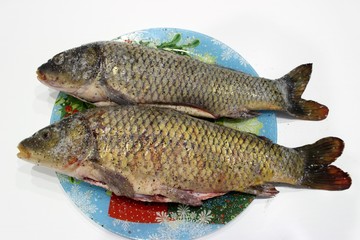  Two gutted carp, sprinkled with salt and pepper lie on a colored dish. The dish is on the white table. Start the process of marinating before frying.