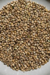 Hemp seeds in the bowl. Slovakia
