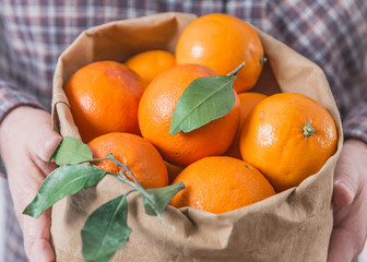 Organic oranges fruits in bag.Hands holding bag with oranges.