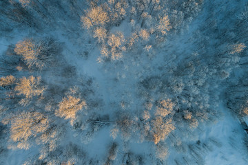 Aerial view of a beautiful sunset in the winter forest. 