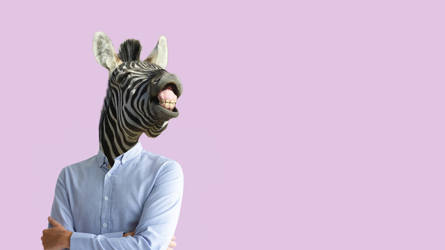 Contemporary art collage. Funny laughing zebra head on human body in business shirt. Clip art, negative space.
