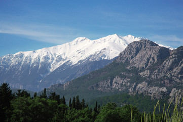 Fototapeta na wymiar View of snowy mountains and woods