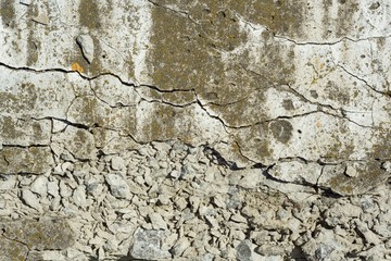 Texture of concrete, cement, old moss covered background.