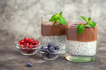 Chocolate chia pudding in glass on grey background. With copy space