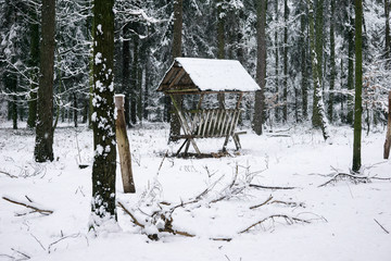 feeding rack in winter, pasture in forest