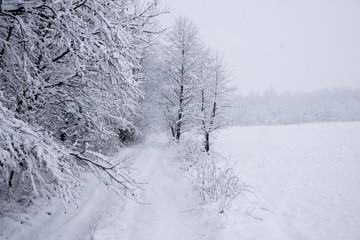 Obraz premium winter landscape in the countryside, snowy landscape