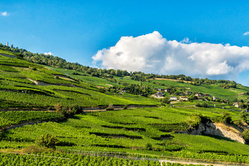 Swiss Country Hills