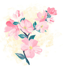 blossoming branch of pink blossoms. t-shirt design 