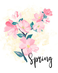 Spring lettering. greeting cards, banners and invitation card with blossom sakura flowers. Color pink sakura cherry blossom flower. 