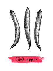 Ink sketch of chile peppers.