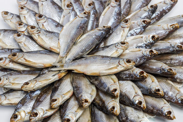 Large heap of dried salted sea roach laid out in the form of a circle on a white background. Close-up