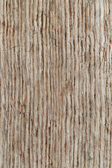 backgrounds, texture is very old wood in the process of prolonged natural decomposition and weathering. Very Old Wood Background, closeup. old and very aged wood texture close up 