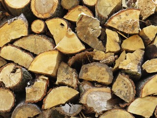 Pile of Wood Logs Stacked Straightened to Wooden Wall Background