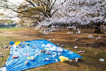 桜の季節の代々木公園・中央広場