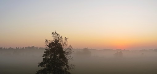 Beautiful Nature Wild Landscape Sunrise with Foggy Mist