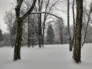 Naklejka premium Park under the snow during winter. Slovakia