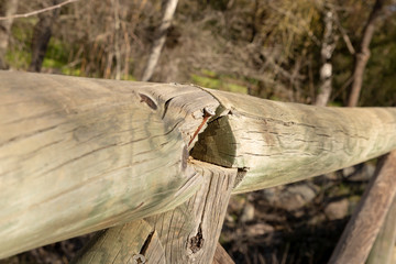 log in wood