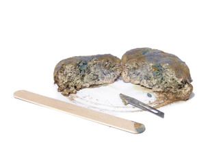 Moldy bread. Spoiled bakery product is covered with mushroom spores