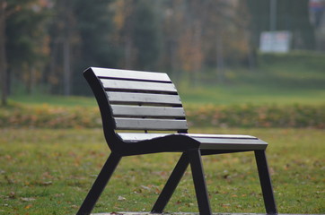 Lonely bench