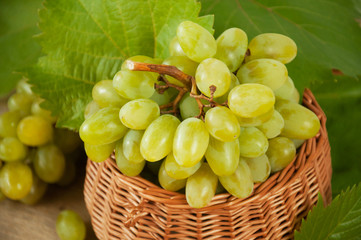 Ripe grape cluster of white grapes in a basket with green leaves of grapes. Vintage grape berries.