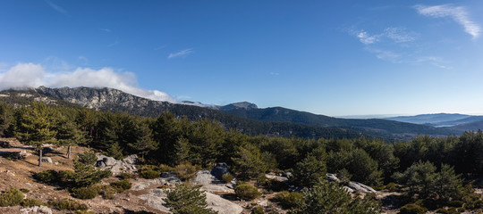 Mountains and wild forests full of color