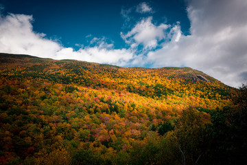 Fall foliage from white mountains
