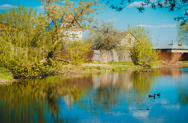 Small country houses and pond with two ducks