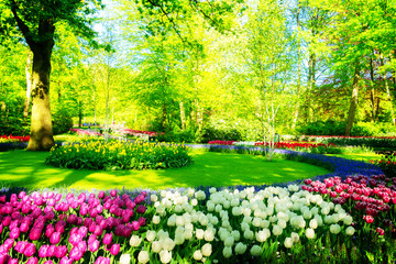 fresh lawn with flowers