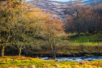 Rural landscape. Glen Mark in Angus, Scotland, UK. Cairngorms National Park.