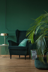 Copy space on empty dark green wall of stylish living room with comfortable armchair and coffee table