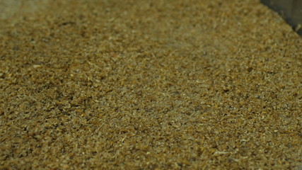 Grain pours into the tank