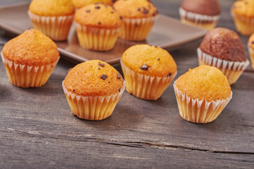 delicious mini chocolate flavor muffins for breakfast