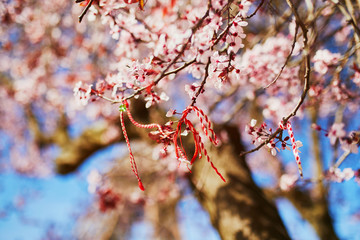 Branch of blossoming cherry tree with red and white martisor