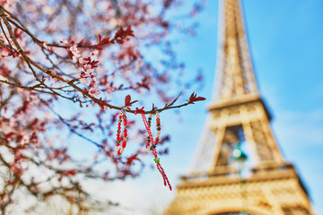 Eiffel Tower with cherry blossom