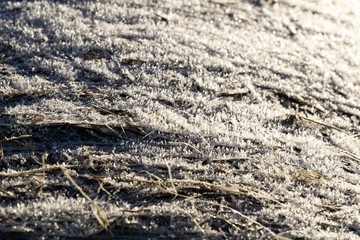 Hay stacks covered with ice coating. Slovakia