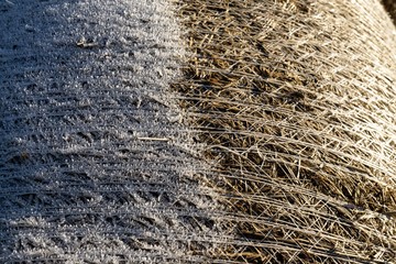 Hay stacks covered with ice coating. Slovakia