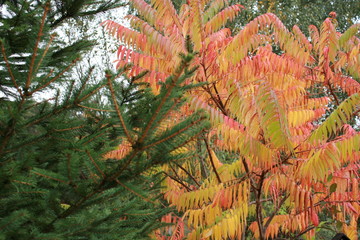 ciepłe wspomnienie jesieni © Anna