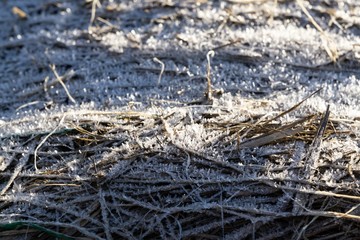 Hay stacks covered with ice coating. Slovakia