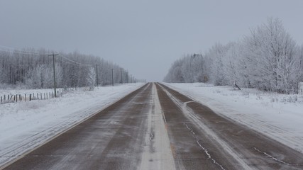 Fototapeta premium Road in the country leading into the horizon line