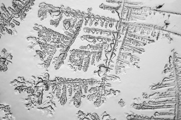 Tears viewed at the microscope. Magnification 100-1000x